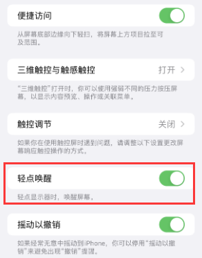 喀喇沁苹果授权维修站分享iPhone轻点无法唤醒怎么办 