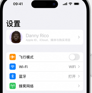 喀喇沁appleID维修服务iPhone设置中Apple ID显示为灰色无法使用