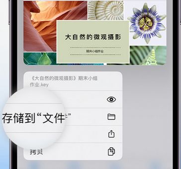 喀喇沁apple维修中心分享iPhone文件应用中存储和找到下载文件