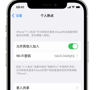 喀喇沁apple服务站点分享iPhone上个人热点丢失了怎么办 