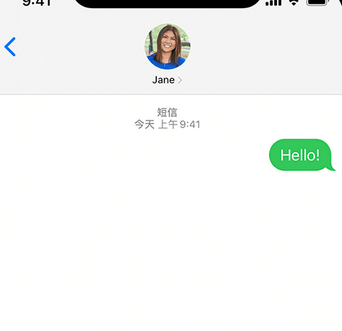 喀喇沁apple维修iPhone上无法正常发送iMessage信息