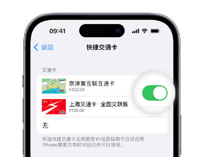 喀喇沁apple维修点分享iPhone上更换Apple Pay快捷交通卡手绘卡面 