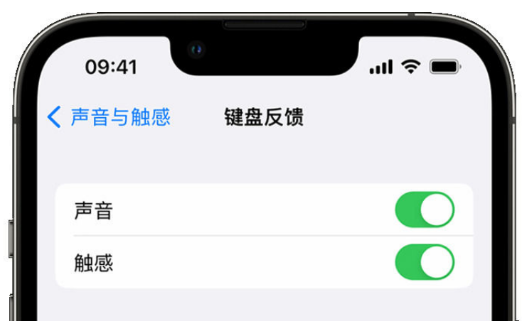 喀喇沁苹果手机维修分享iPhone 14触感键盘使用方法 