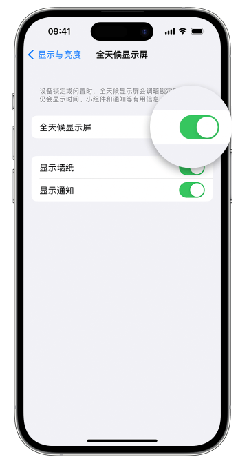 喀喇沁苹果14维修店分享如何自定义 iPhone 14 Pro 常亮显示屏 