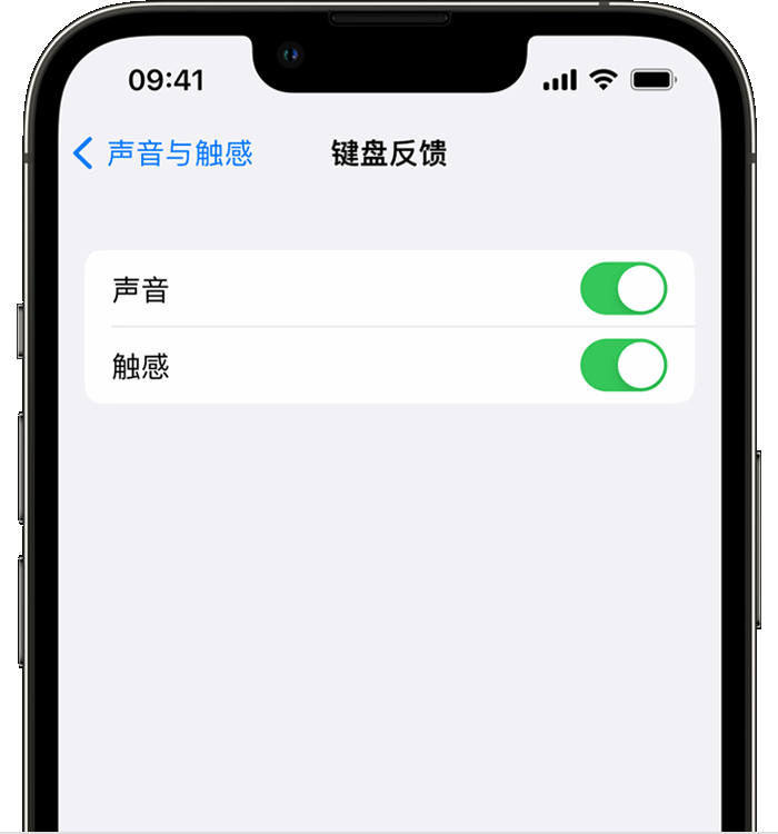 喀喇沁苹果14维修店分享如何在 iPhone 14 机型中使用触感键盘 