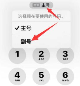 喀喇沁苹果14维修店分享iPhone 14 Pro Max使用副卡打电话的方法 