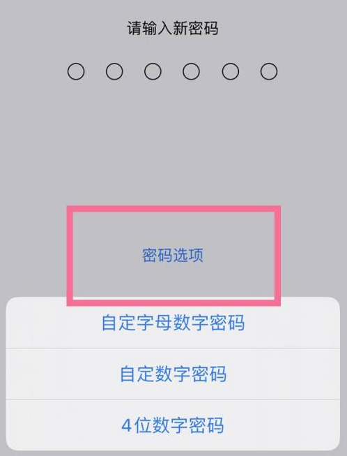 喀喇沁苹果14维修分享iPhone 14plus设置密码的方法 