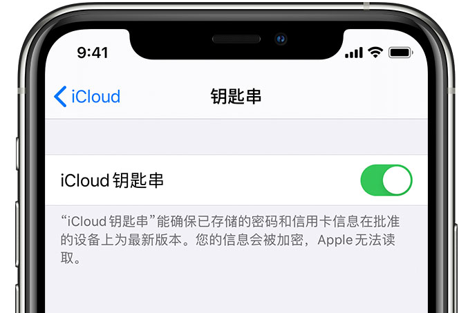 喀喇沁苹果手机维修分享在 iPhone 上开启 iCloud 钥匙串之后会储存哪些信息 