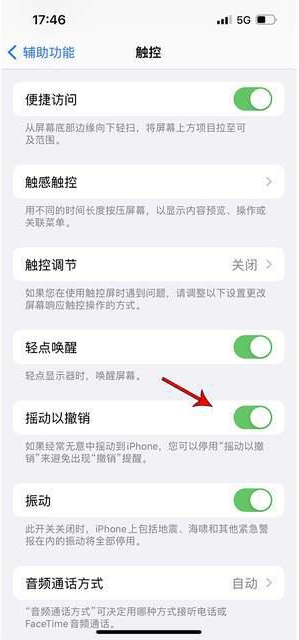 喀喇沁苹果手机维修分享iPhone手机如何设置摇一摇删除文字 